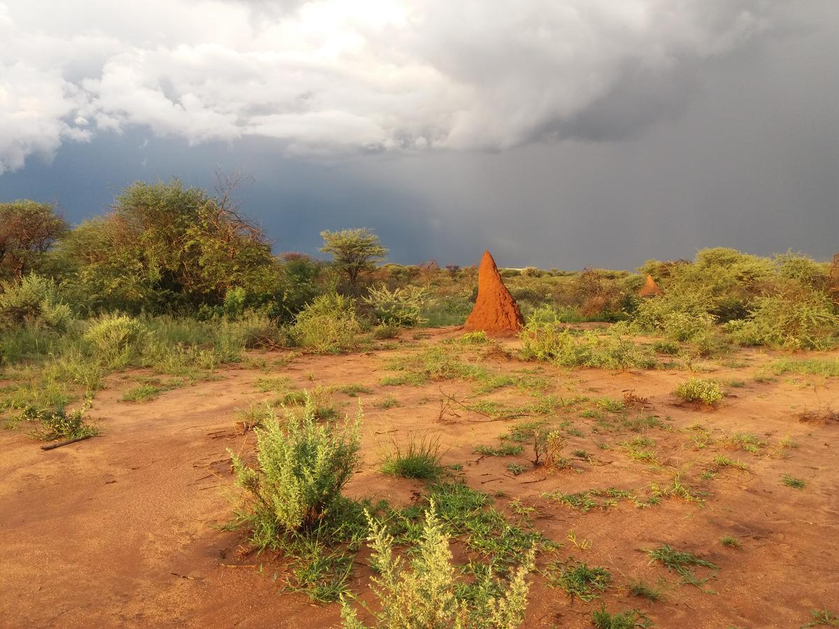 Lion's Den Guesthouse Otjiwarongo Eksteriør billede