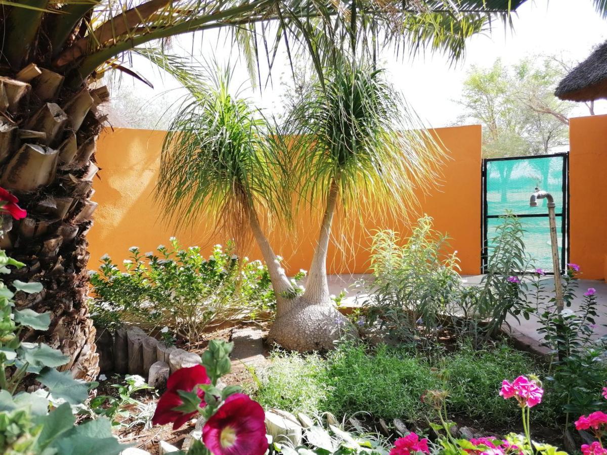 Lion's Den Guesthouse Otjiwarongo Eksteriør billede