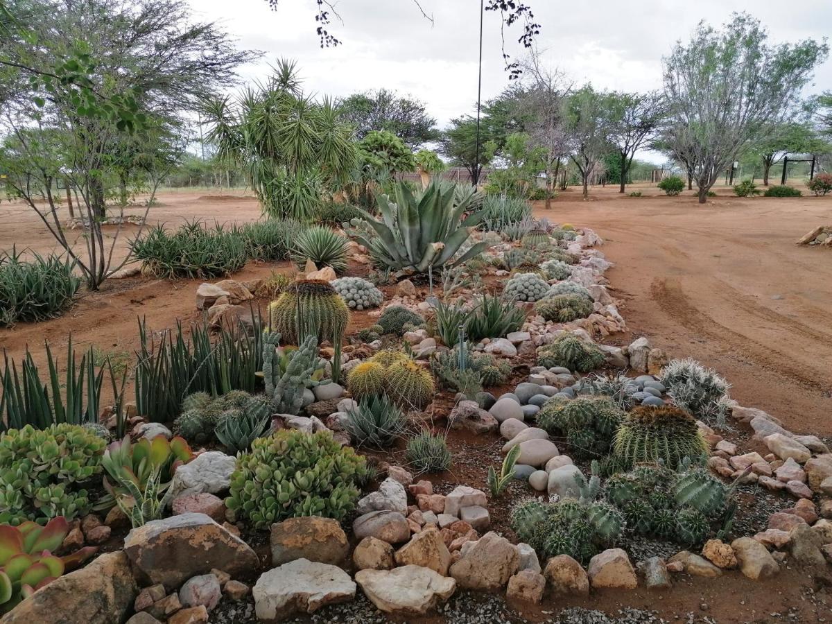 Lion's Den Guesthouse Otjiwarongo Eksteriør billede