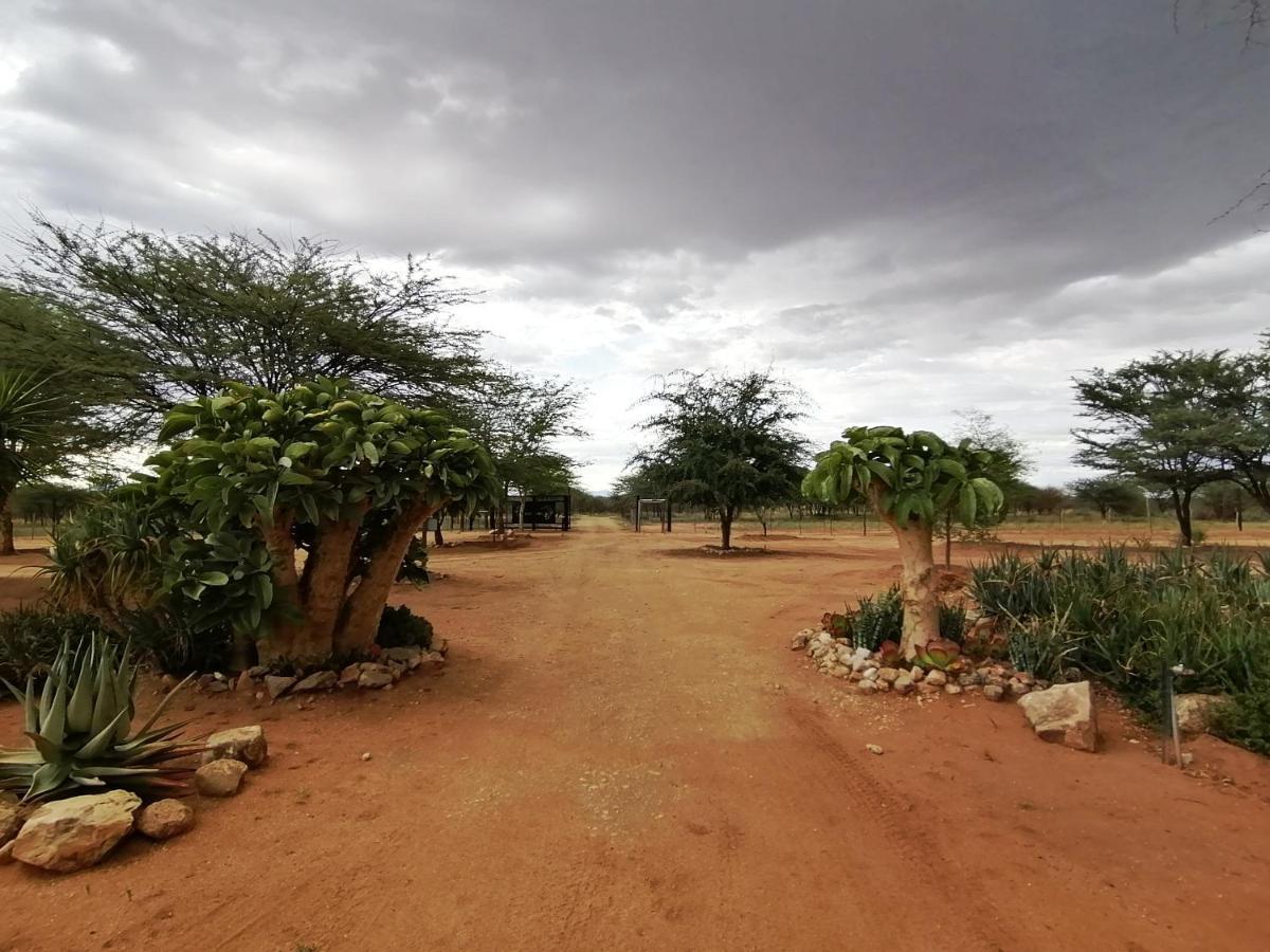 Lion's Den Guesthouse Otjiwarongo Eksteriør billede