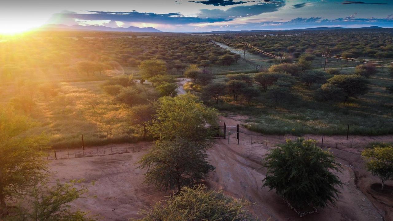 Lion's Den Guesthouse Otjiwarongo Eksteriør billede