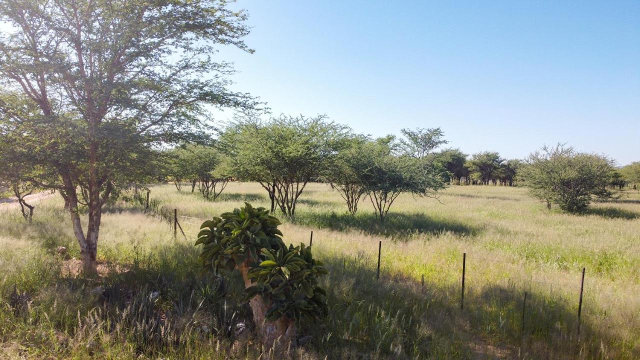 Lion's Den Guesthouse Otjiwarongo Eksteriør billede
